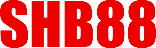 vnshb88.com Logo